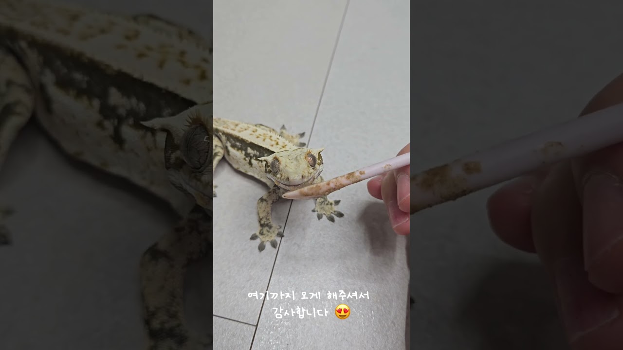 감사합니다❤️❤️ 