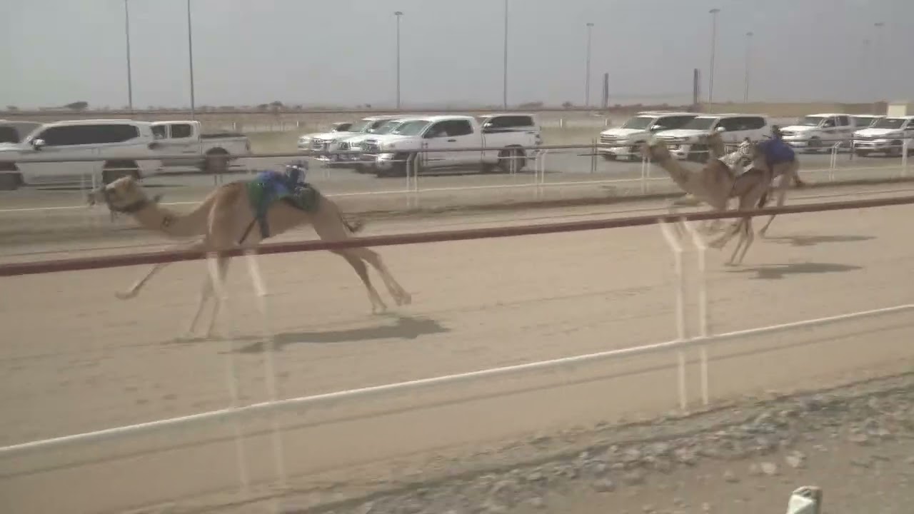 ش1 شعاع لــ بدر بن حمد سعيد الجنيبي2:09
