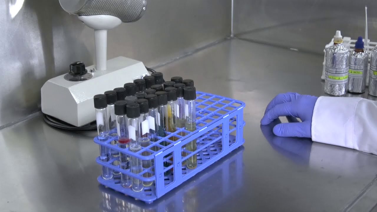 PRUEBAS BIOQUÍMICAS
