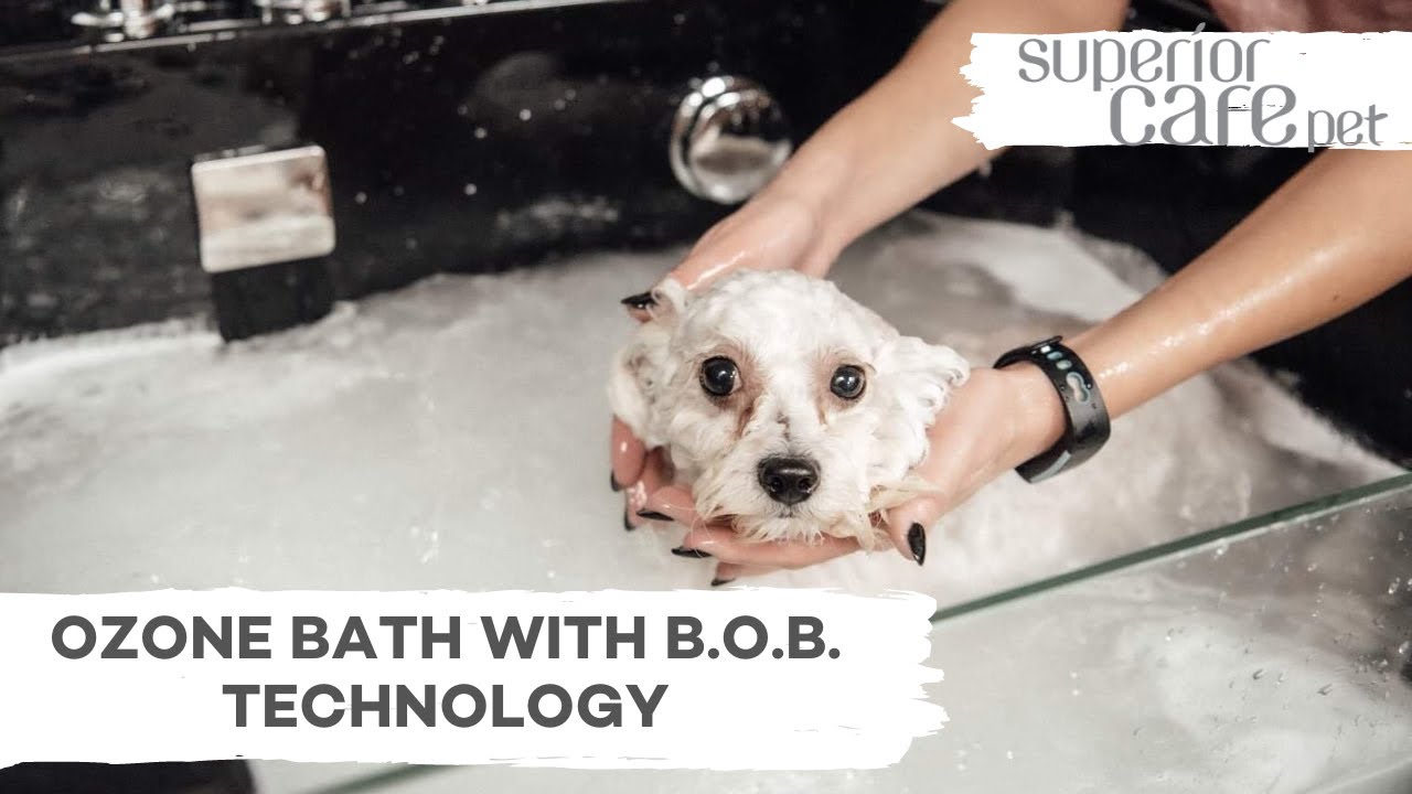 What are the benefits of ozone bath?