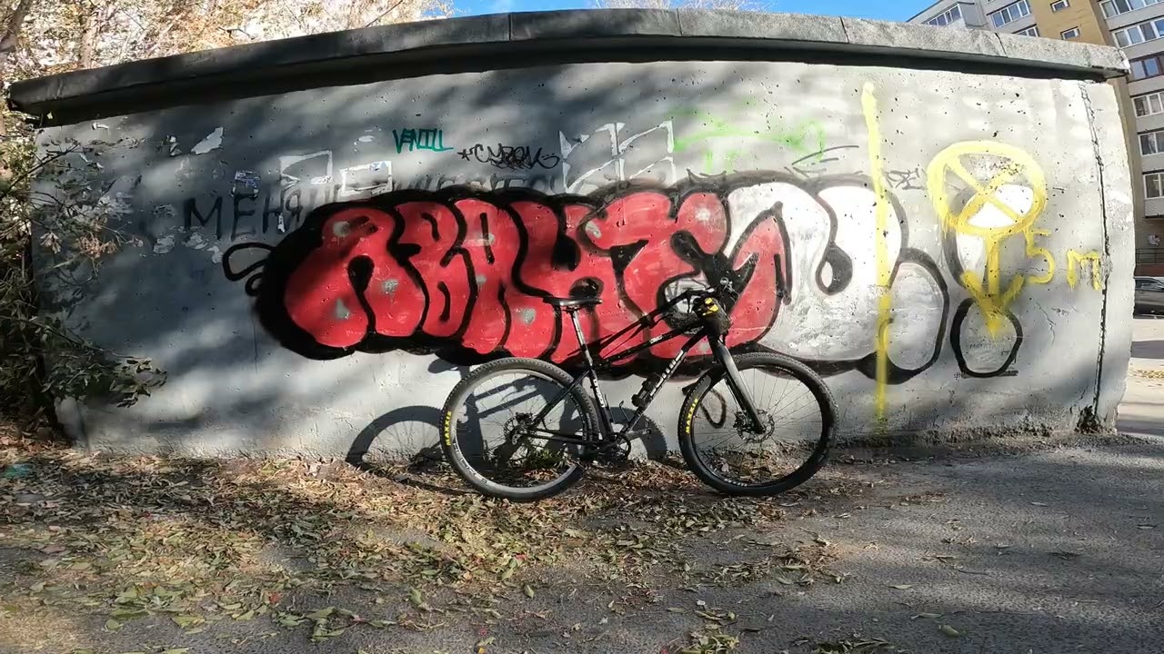 Bike check single speed Jamis Dragon Pro