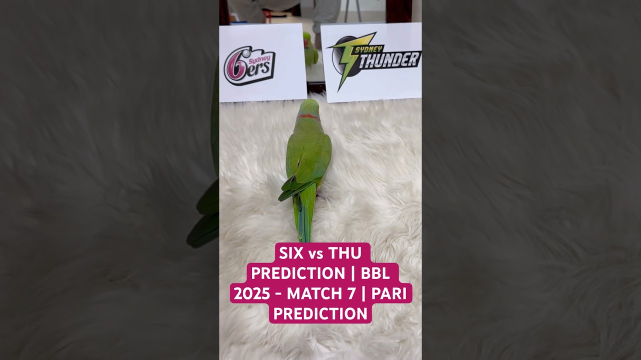SYDNEY SIXER vs SYDNEY THUNDER PREDICTION | BBL 2025 - MATCH 7 | PARI PREDICTION  #bbl2025