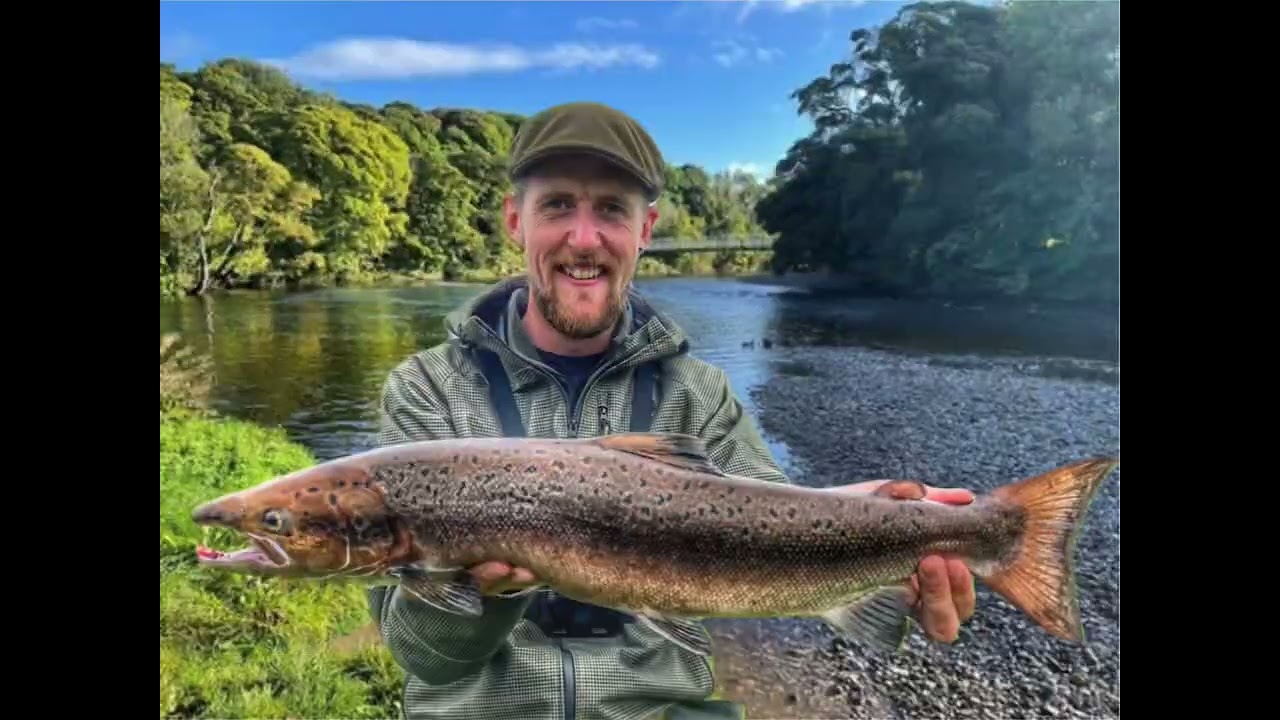 Atlantic salmon fishing in Ireland