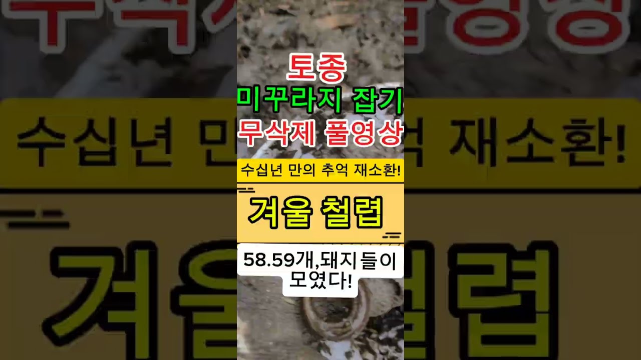 #긴급출동!ㅂ꾸라지 체포작전 #용사들 #우정의 무대 #겨울철렵