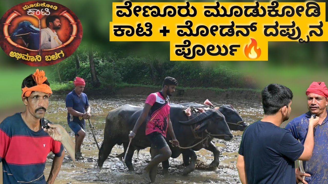 Venoor Mudukodi Kaati + Moda ನ್ ದಪ್ಪುನ ಪೊರ್ಲು ❗🔥ಬಳ್ಳುದ ಮಲ್ಲ ವಿಭಾಗದ ಚಾಂಪಿಯನ್ ಕಾಟಿಗ್ ಮರ್ಯಾಲದ ದಪ್ಪು 🔥❗