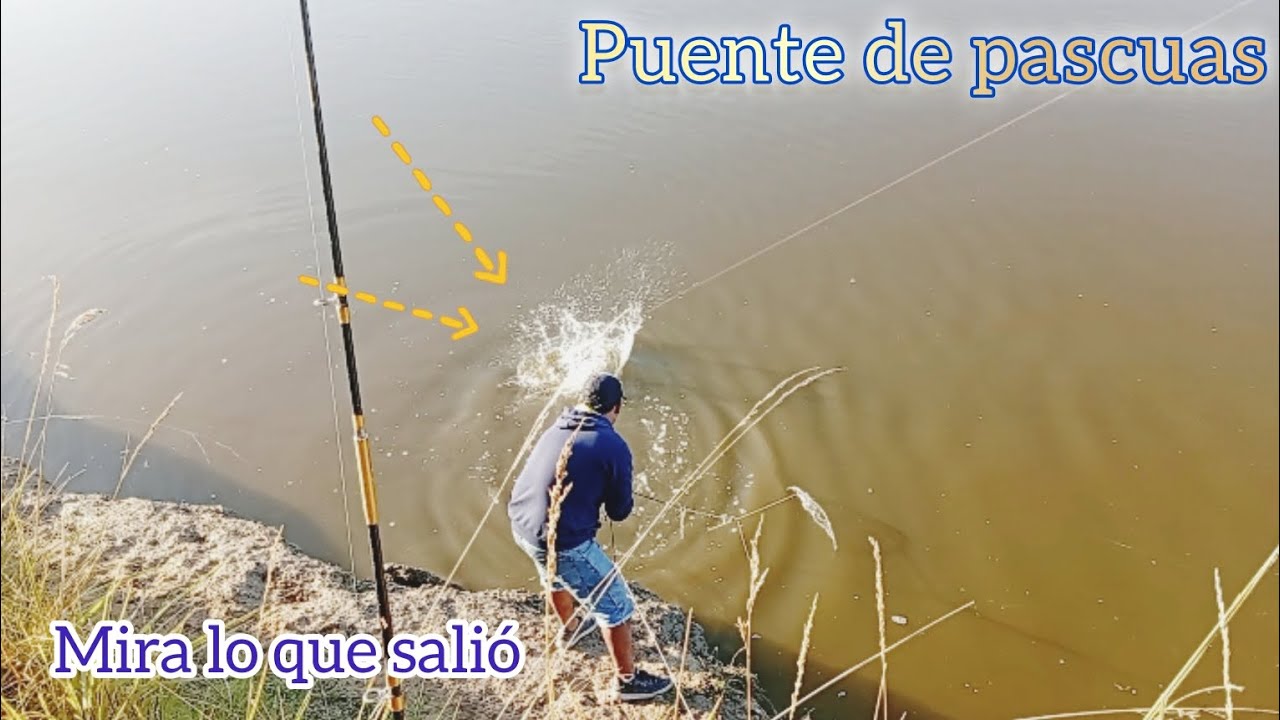 PESCA EN EL RIO SALADO💯 TERRIBLE LAS BESTIAS, SALIÓ DE TODO! PESCA, COSINA Y NOCTURNA 🌌 LUGAR GRATIS