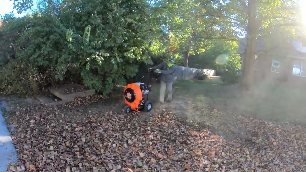 Real Time Leaf Cleanup
