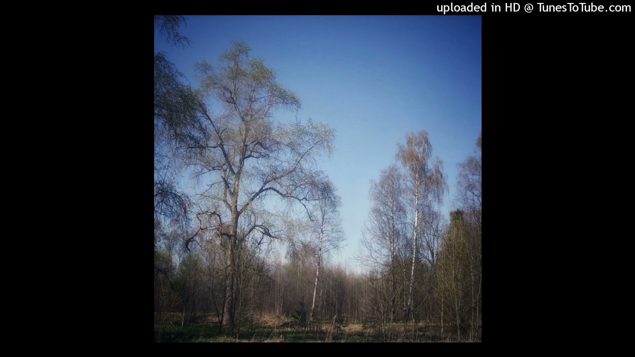 vulture | makkgin | ambient type beat w | profile_trypom
