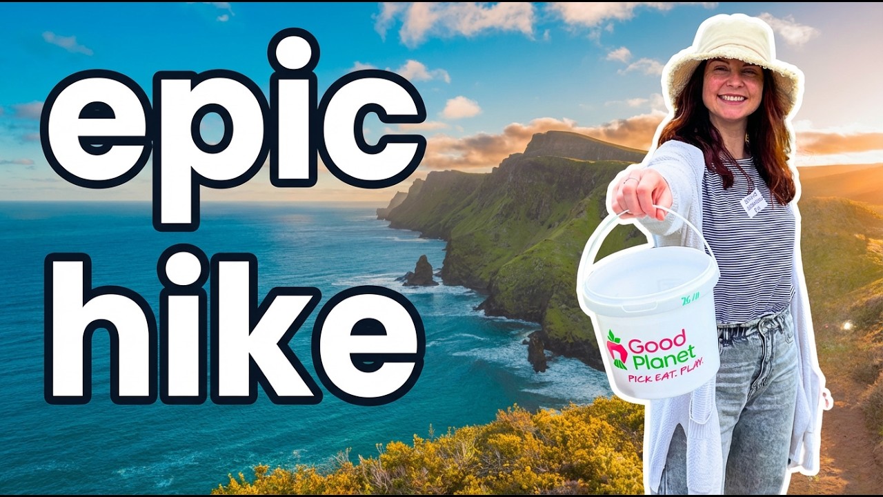 Best Auckland Activities for CHEAP! Piha Beach, Strawberry Farm, Kiwi Pie [2024]