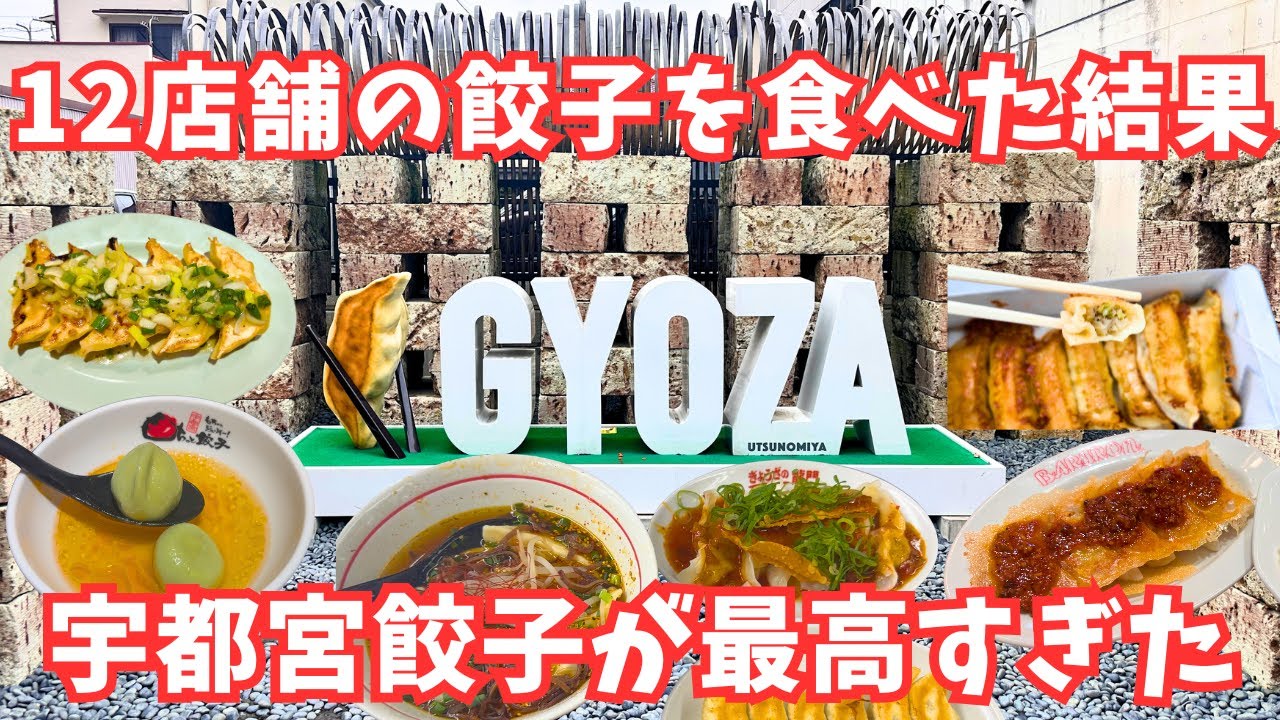 【宇都宮グルメ】●●が1番美味い？宇都宮餃子を食べまくる1日！日帰り宇都宮旅行が最高すぎた