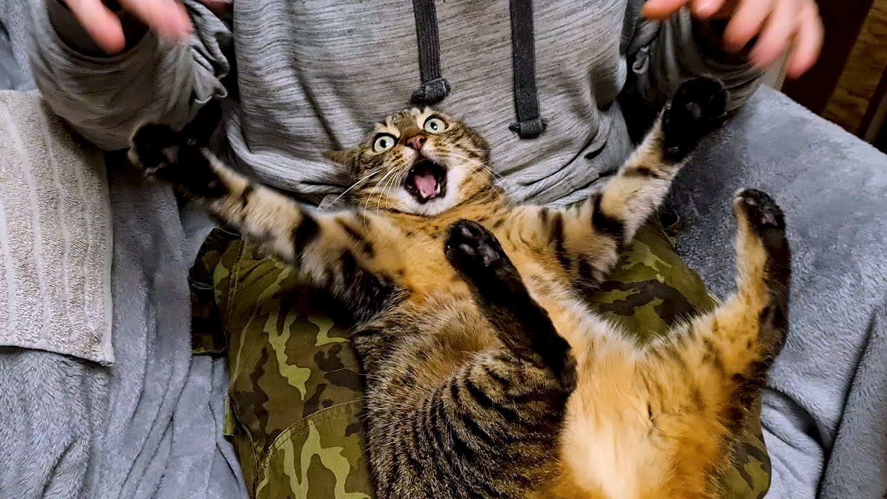 How dare you rub my Belly!!