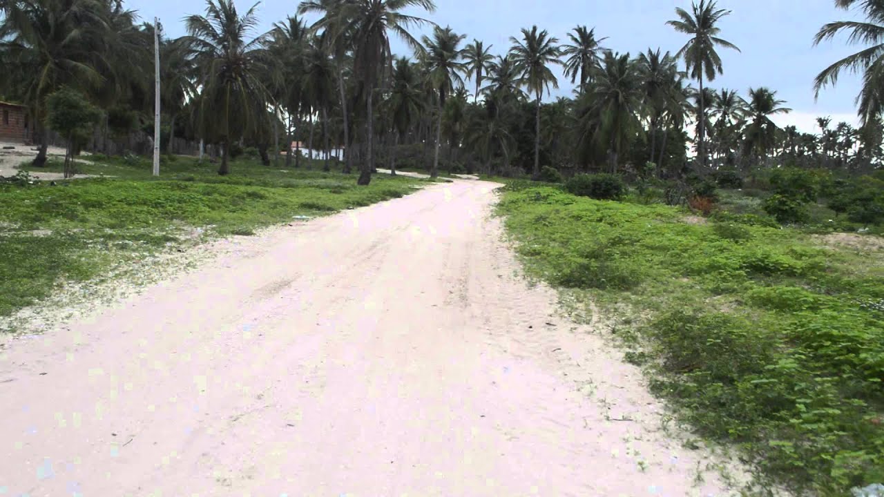 ACARAÚ ESPRAIADO, TIDE ANDRADE, PASSEANDO NA COMUNIDADE  EM 28 MAR 2015