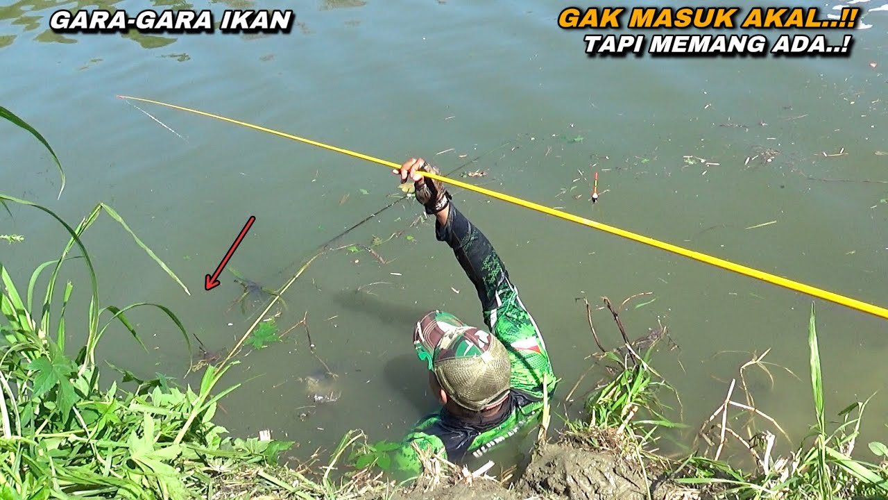 Edan..! Saat mancing dapat ikan besar sampai bawa masuk ke air