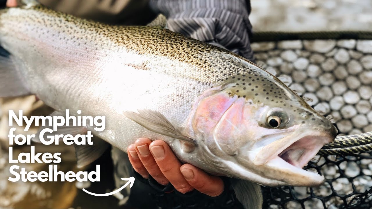Fall Fishing Recap Part #2: Nymphing for Great Lakes Steelhead & Brown Trout
