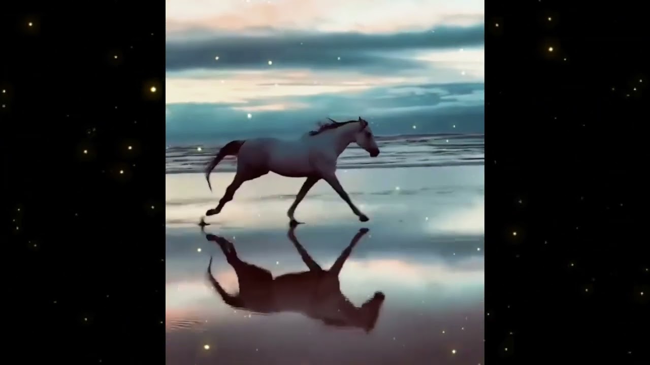 Free Horse Running by the Ocean 🌊 Calm Lofi Beats for Focus, Chill & Inner Freedom