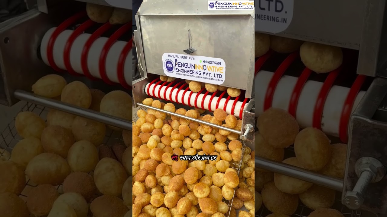 Panipuri Fryer Machine | Fryer Machine | Panipuri Business | Panipuri Making Machine 