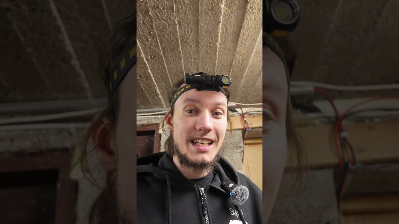 Ensimm&auml;inen hiiri napattu!