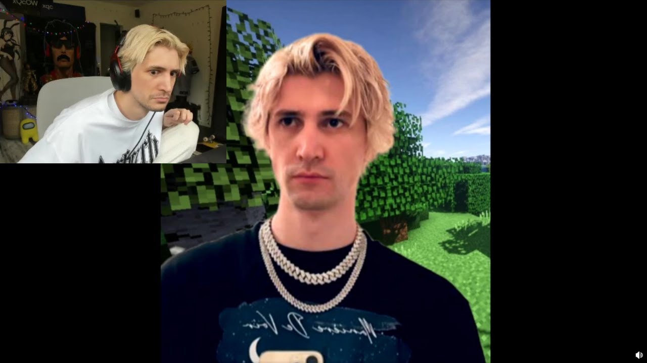 xQc reacts to 