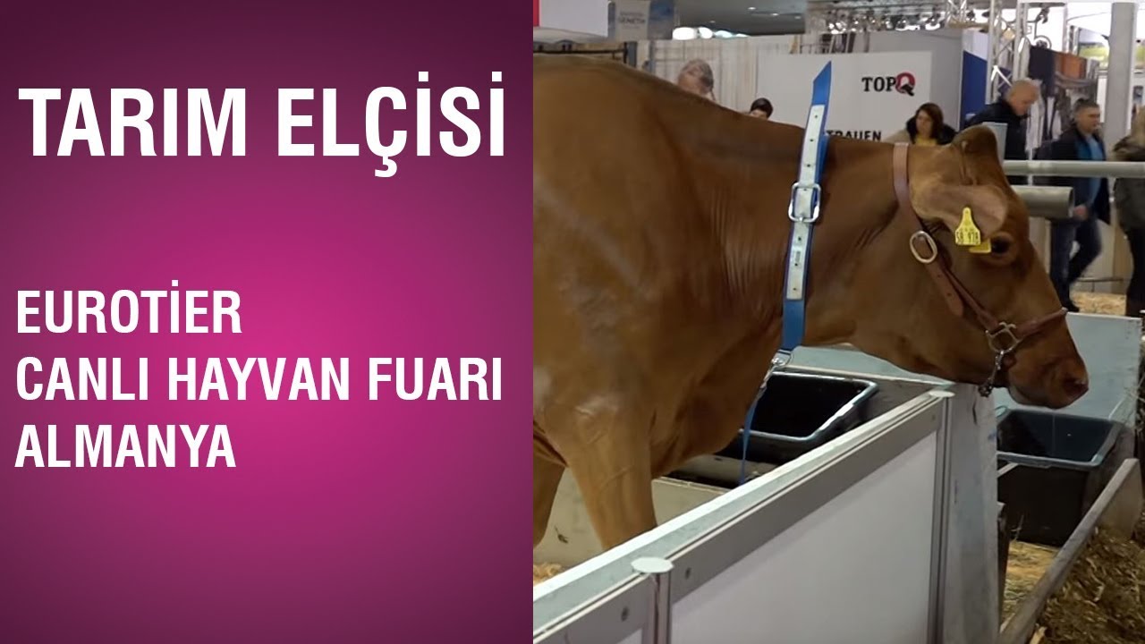 Tarım Elçisi - Eurotier Canlı Hayvan Fuarı / Almanya