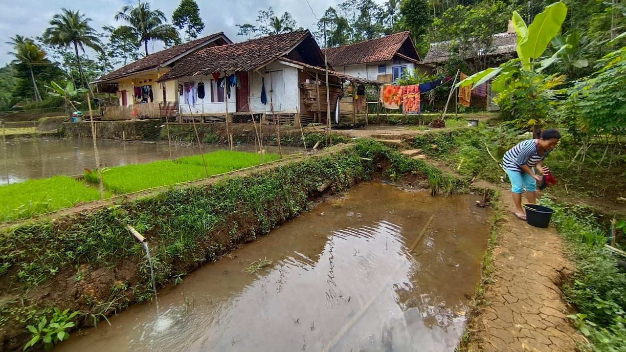 Suasana Pedesaan Di Negeri Yang Damai Jawa Barat