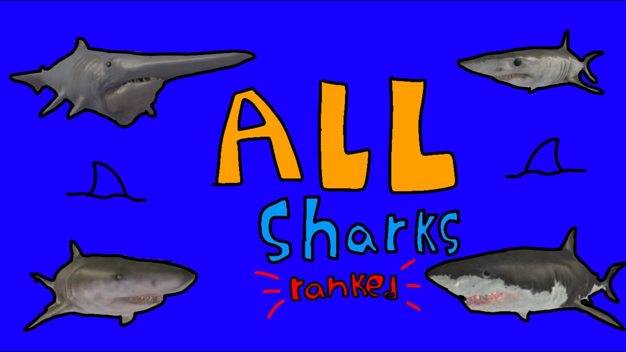 (SUGGESTED VID [kinda]) all sharks ranked in sharkbite 2