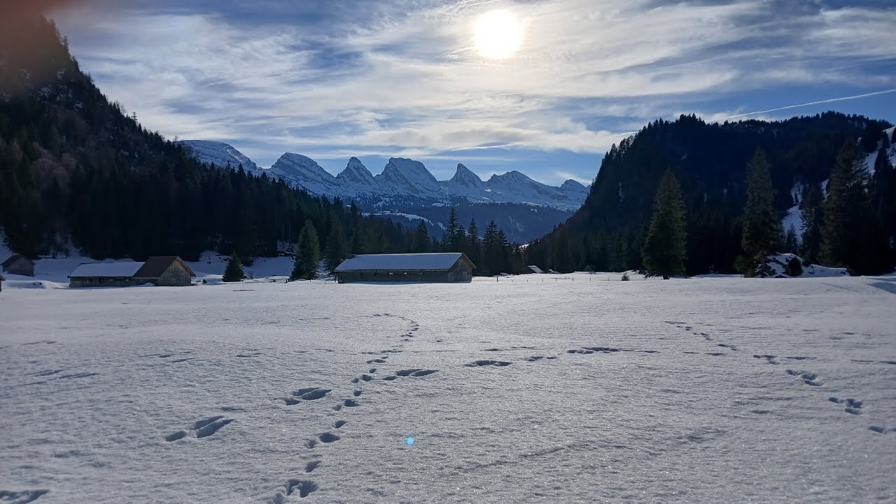 Into the Wild Silence