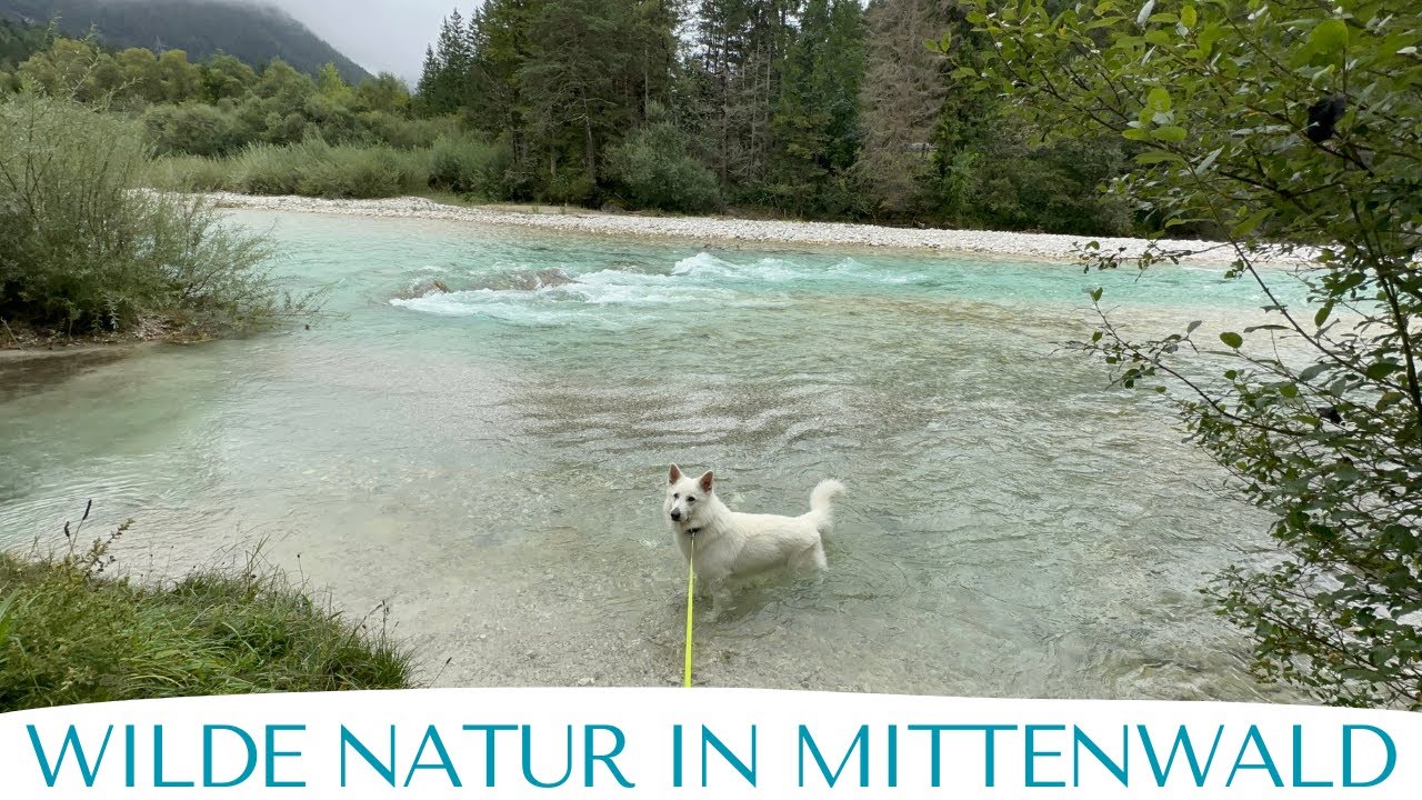 Schöne, wilde Natur zwischen Campingplatz  Isarhorn und Mittenwald