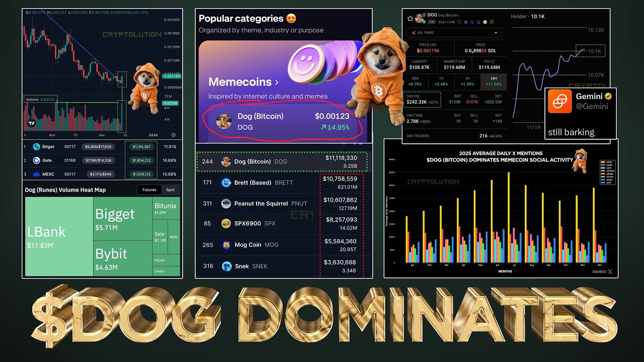 $DOG Dominating the Memecoin Sector 😤 Proof in Data 📊
