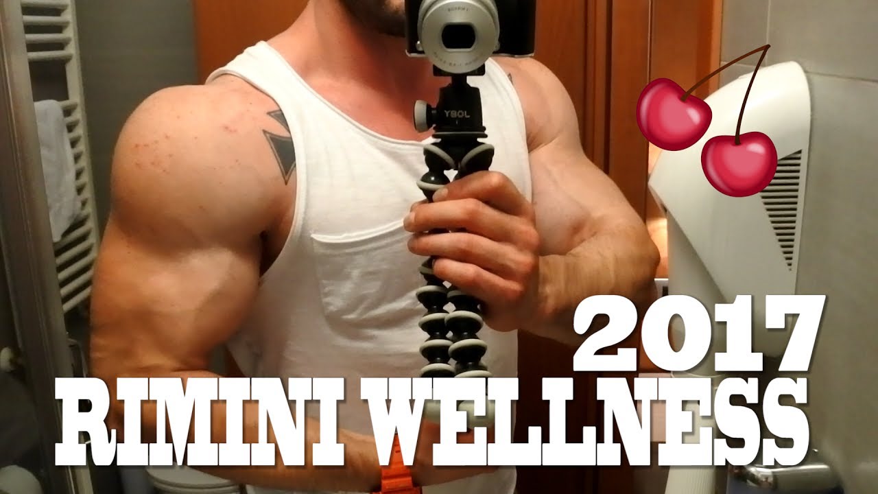 RIMINI WELLNESS 2017 dal mio punto di vista | Video BRUTTISSIMO 😭😭