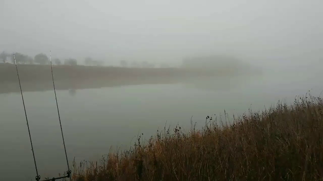 Tidal Trent Winter session. Chub and bream, but no show for barbel
