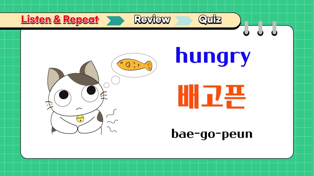 [Basic Korean 31]How to say Plain and Interrogative sentences in Korean? + Quiz