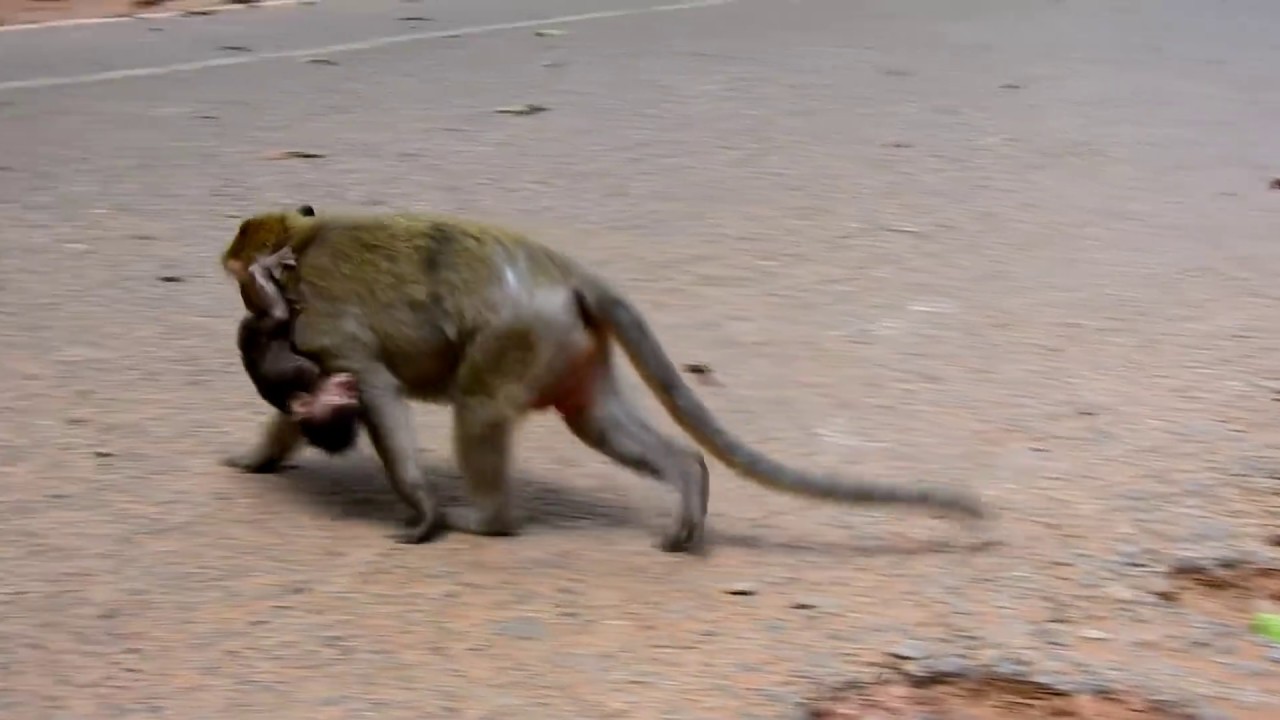 Oh God! Very Bad Temper Dana Hit Baby Donny Hard|  Why Dana Do Like This To Donny | So Pity Baby
