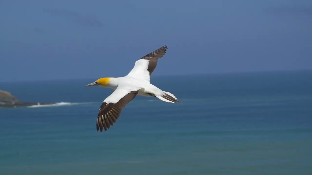 திருக்குறள் கதைபாடல்