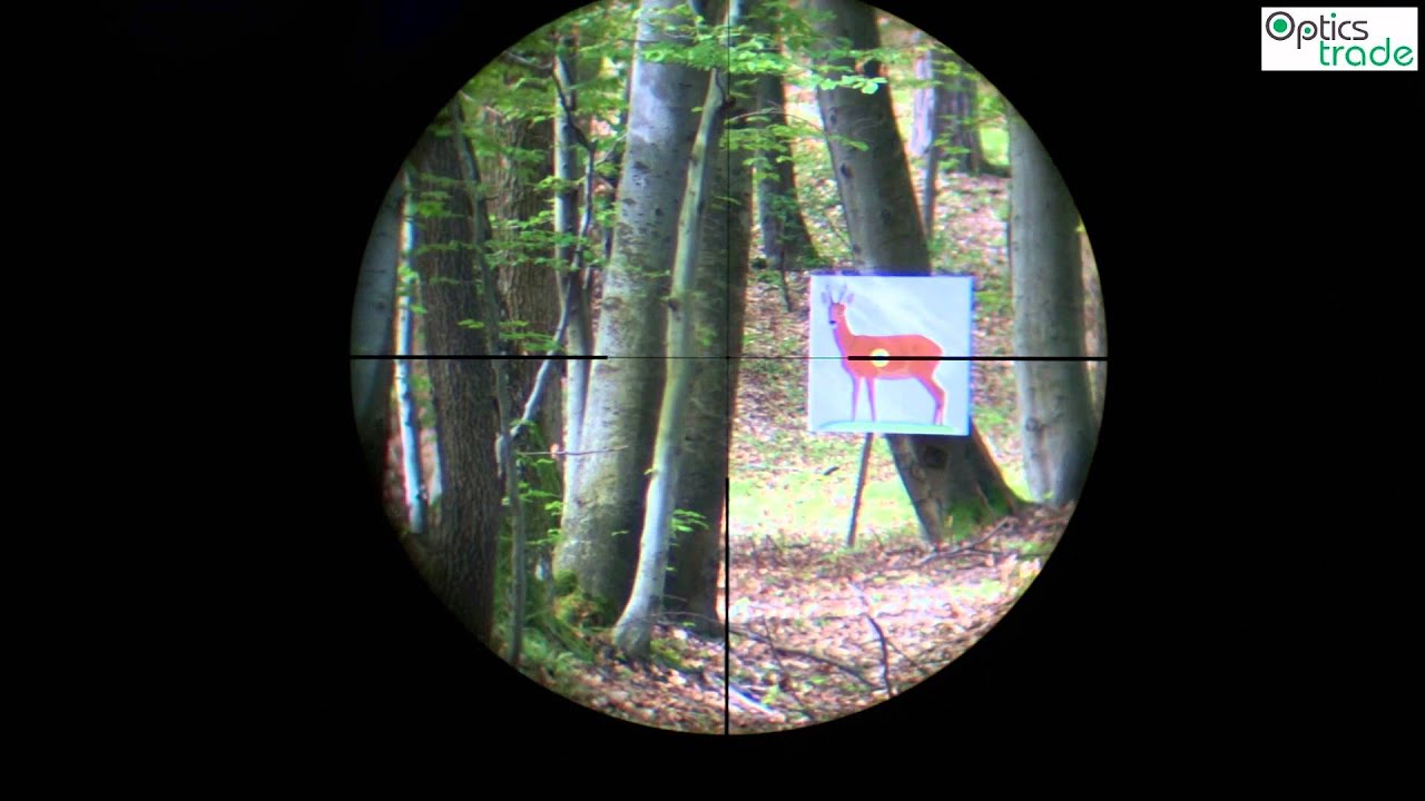 Leica Magnus 1.5-10x42 Reticle 4a Subtensions