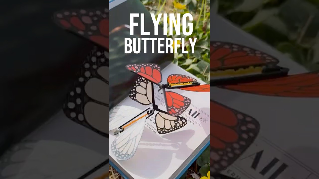 3D Printing Flying Butterfly 🦋