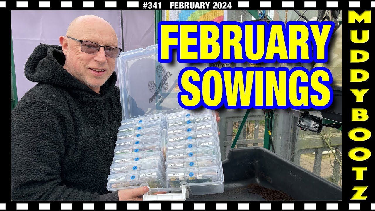 🌻341 🌻 WHAT SEEDS TO SOW IN FEBRUARY 🌻
