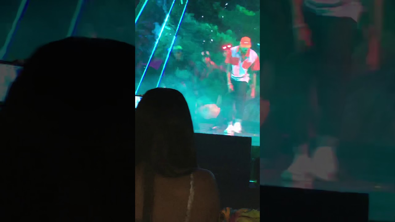 Chris Brown [LURKIN & TEMPORARY LOVER ] brooklyn live 2019