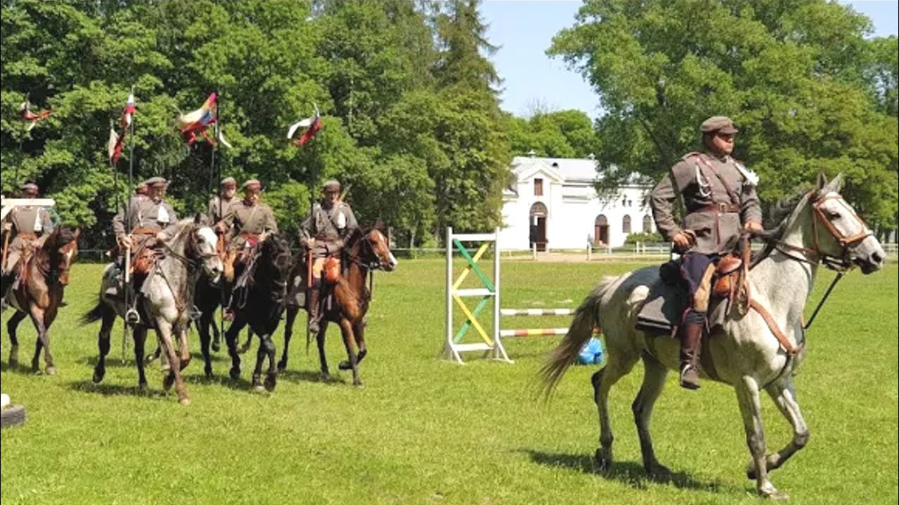 Stadnina Koni w Janowie Podlaskim zaprosiła na inaugurację „Akademii Młodego Jeźdźca”