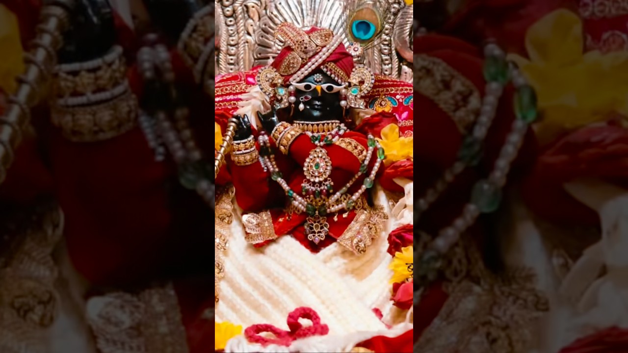 RadheRadhe🙏#shrikrishna #radha #Vrindavan #bhakti #india #spritual #viral #shorts #radharaman