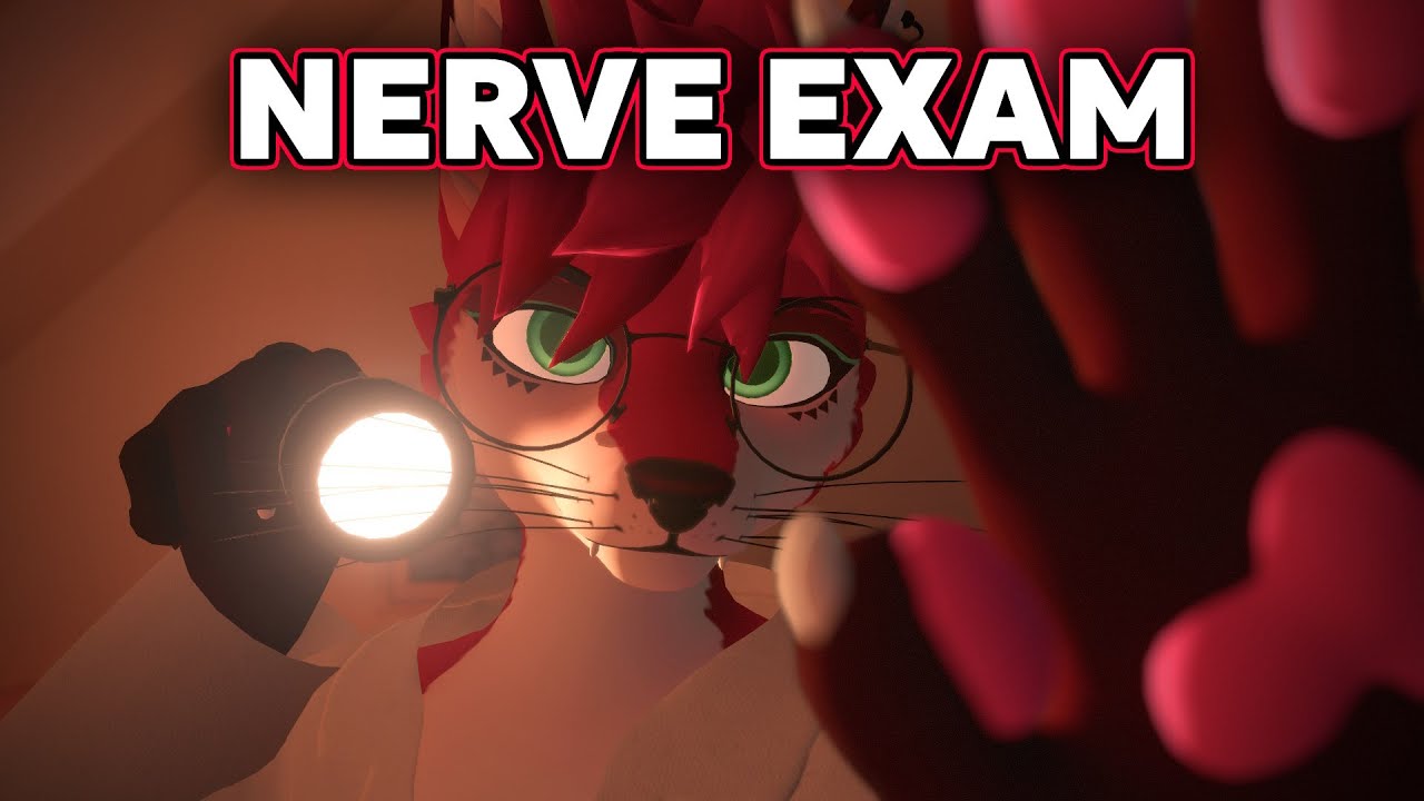 Fox does a Cranial Nerve Exam on you 🧠🩺 (Furry ASMR)