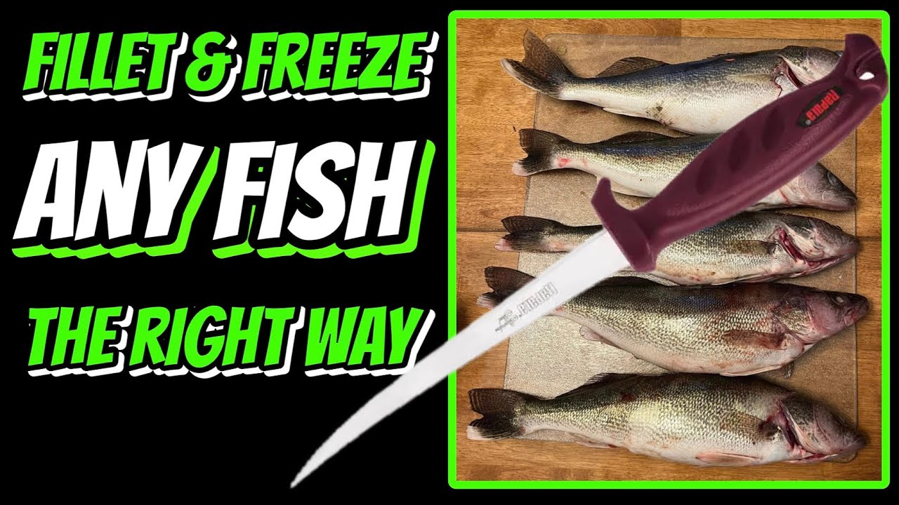 How to FILLET & FREEZE Fish the Right Way! | Easy to Learn Tutorial 