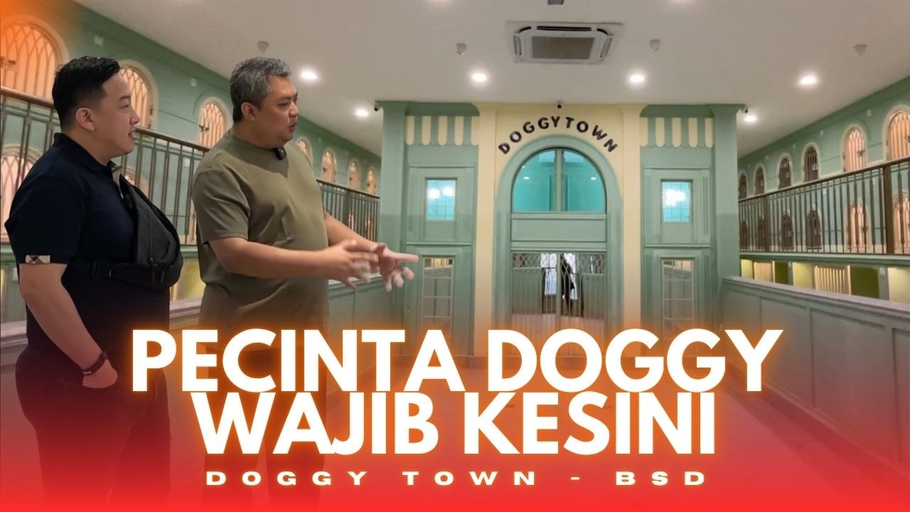 PECINTA DOGGY, WAJIB KESINI SIH | DOGGY TOWN EASTVARA BSD