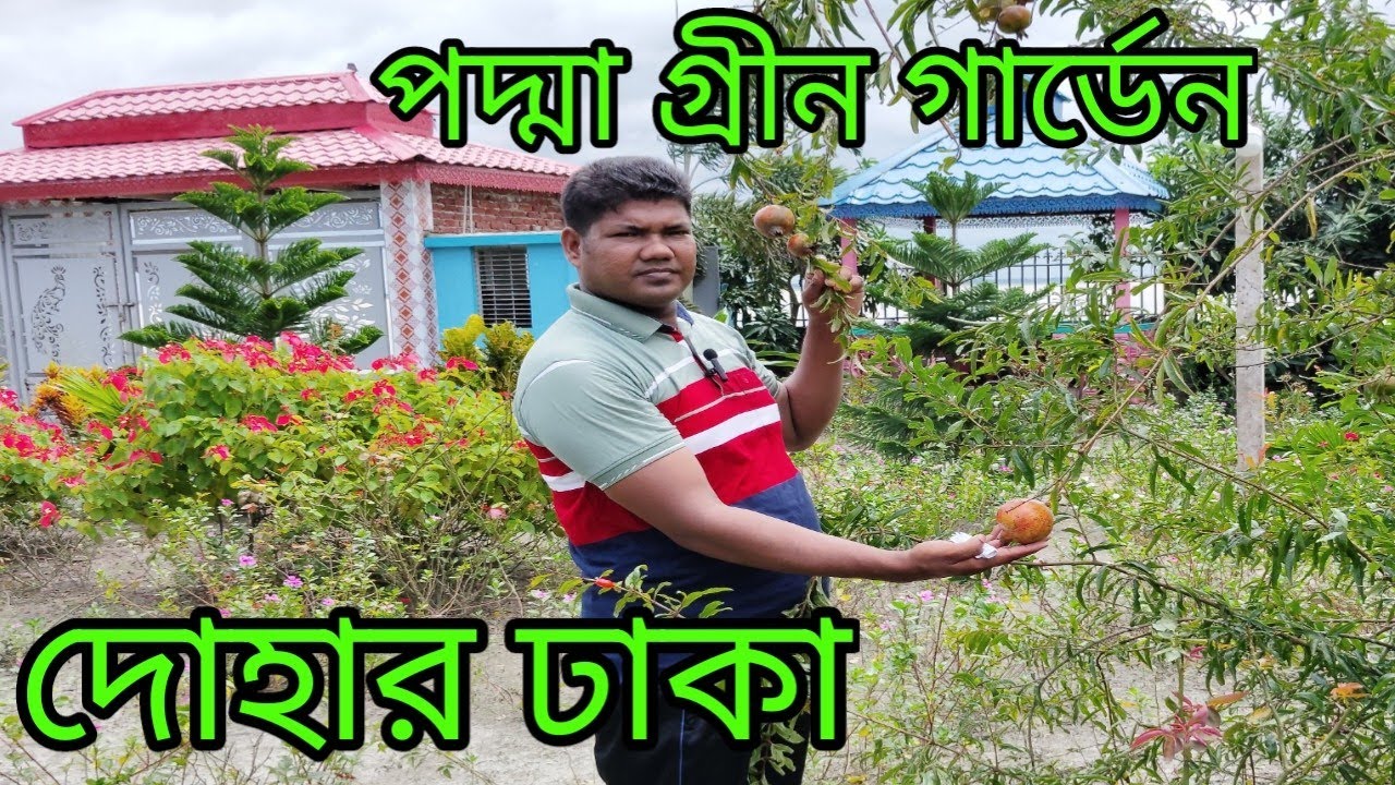 পদ্মা গ্রীন গার্ডেন দোহার ঢাকা পদ্মার পাড়ের গার্ডেন