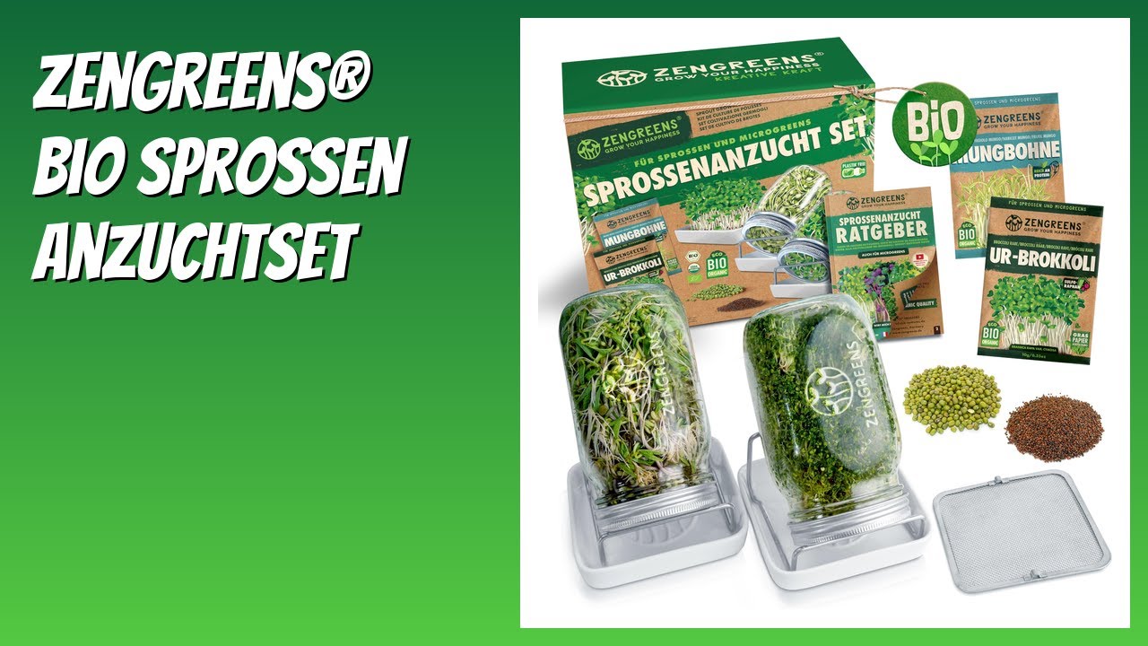 BEWERTUNG (2026): zengreens® Bio Sprossen Anzuchtset. Infos