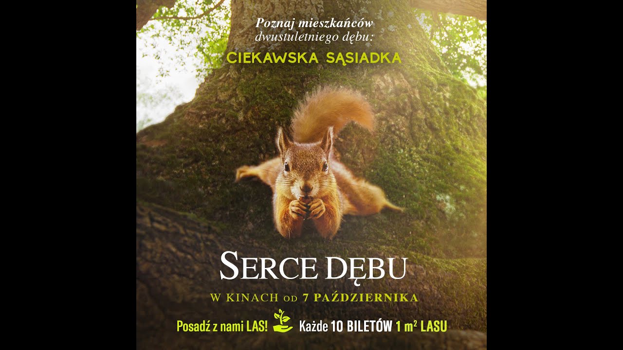 SERCE DĘBU | prelekcja do filmu | materiały edukacyjne