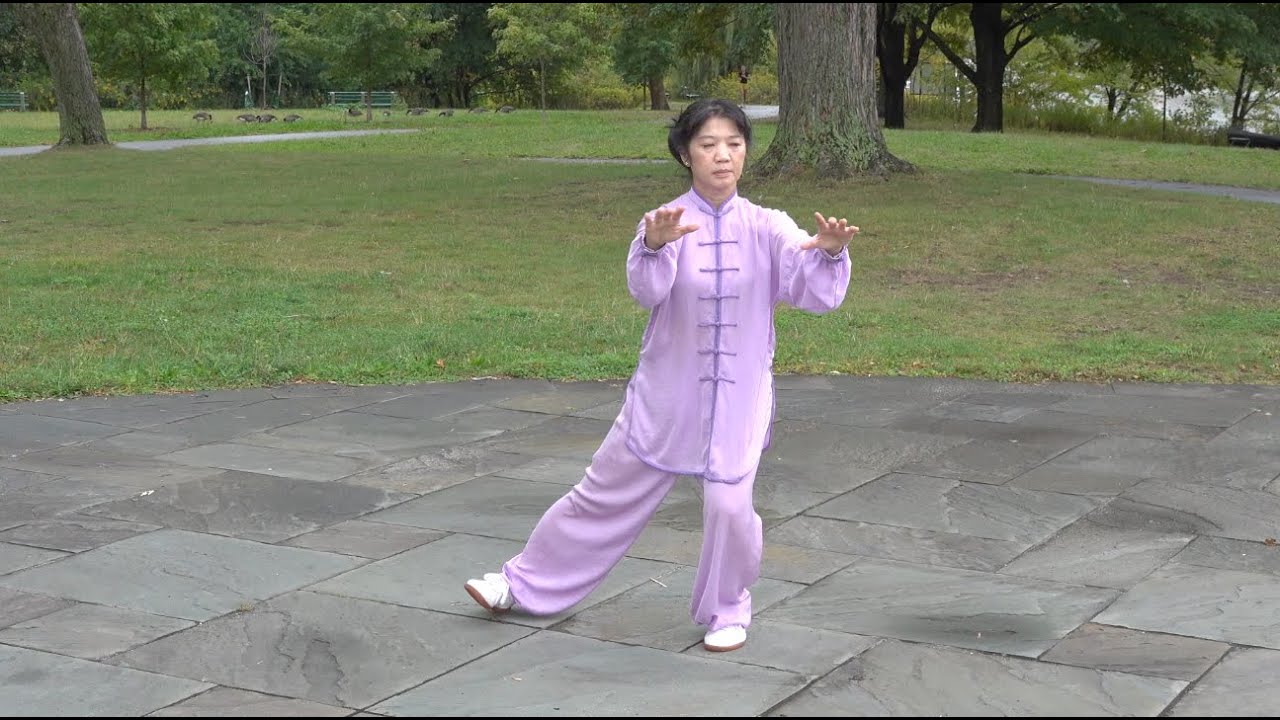 Yang Style 85 Form (Long Form)