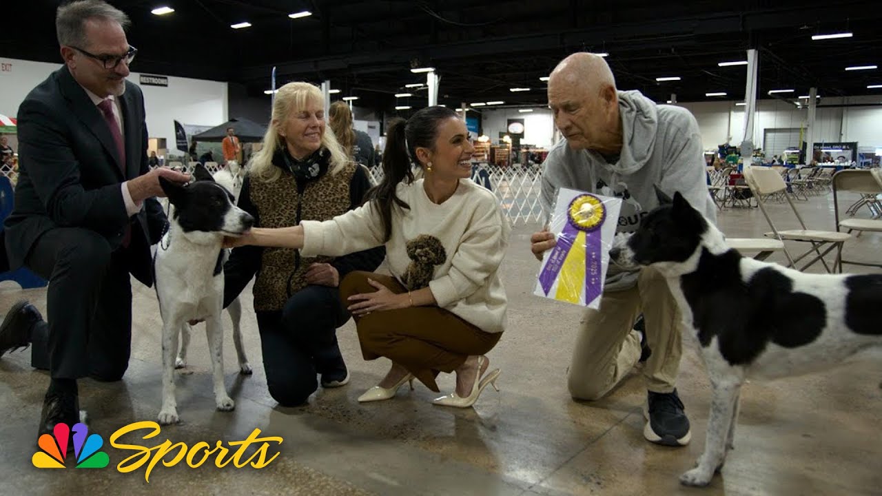 Rare breeds to root for at the 2025 National Dog Show | NBC Sports