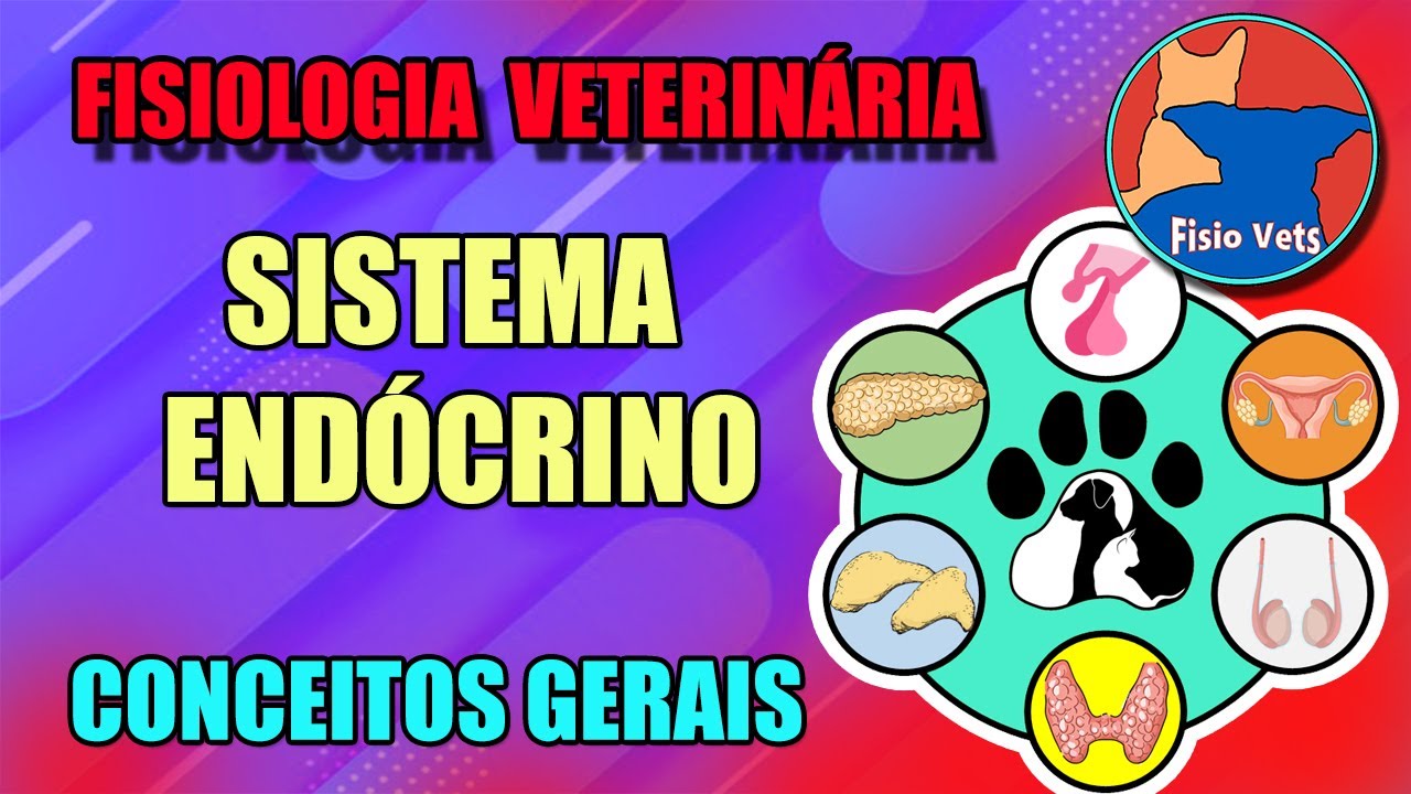 Sistema endócrino - Introdução - Fisiologia veterinária - Aula 1