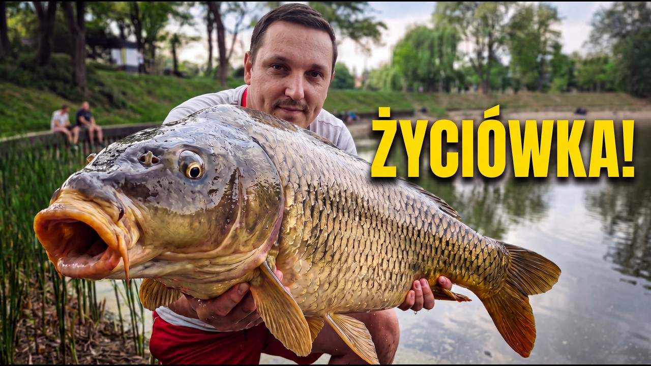 Złowiłem życi&oacute;wkę karpia !!!, czyli zasiadka z @DamianosC2 na Stawach Cietrzewia