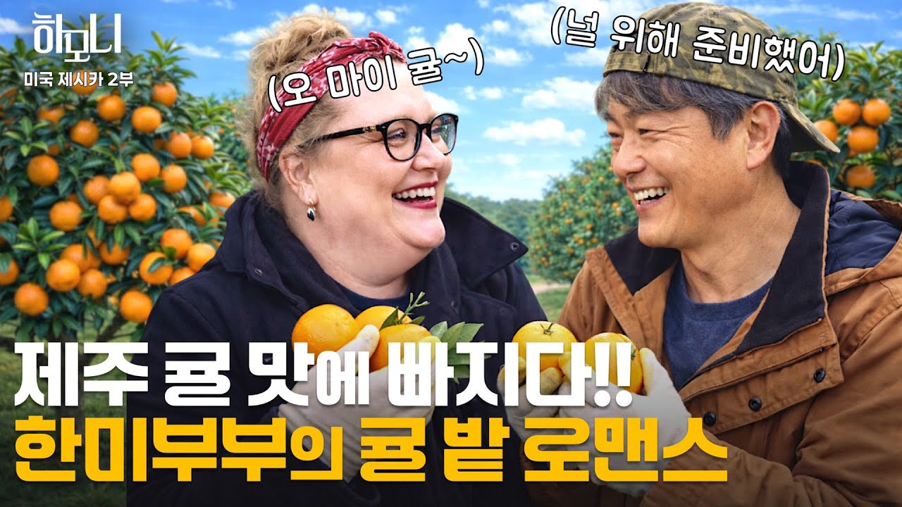 [연중기획 하모니] 제주에 산다! 제시카&심동섭 부부의 겨울 이야기 2부 / 연합뉴스TV (YonhapnewsTV)